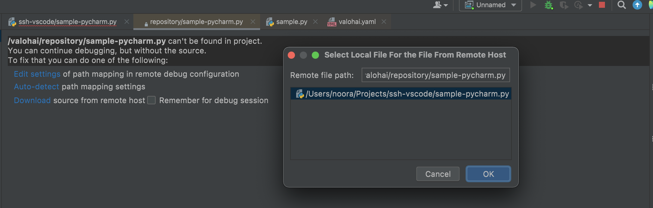 PyCharm Warning about path